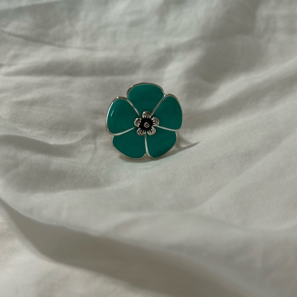 Pretty ring!